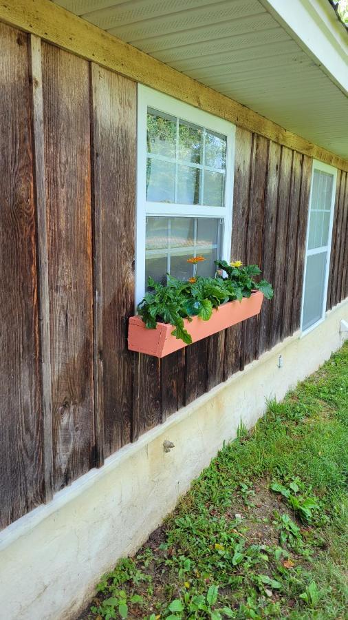 Villa The Little House At Evoo Cookeville Exterior foto